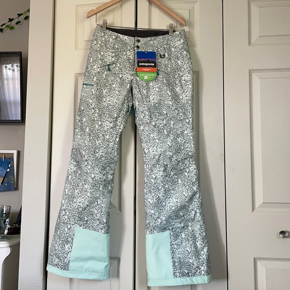 Patagonia Ski/Snow Pants NWOT